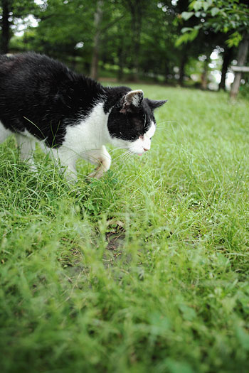 20100527_1908.jpg