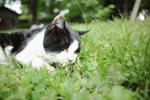 20100527_1926.jpg