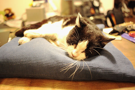 20100527_1954.jpg