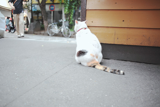 20100605_2004.jpg