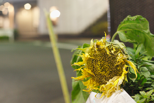 20101230_5220.jpg